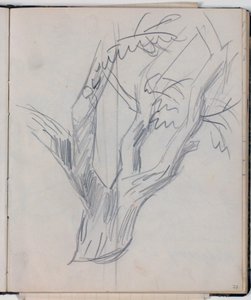 Study of Tree Crown by Niels Larsen Stevns