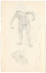 Model Study