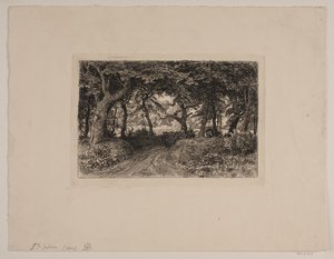 Cart on a Forest Road