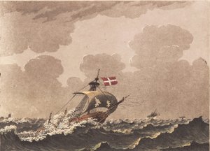 A Damaged Ship, Signaling Loots by Niels Truslew