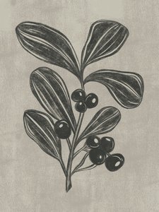 Botanical Berry Sketch by Nikita Jariwala