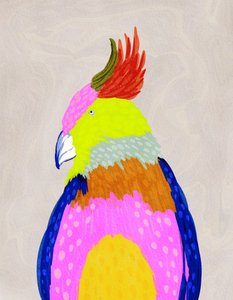 Colorful Tropical Parrot by Nikita Jariwala