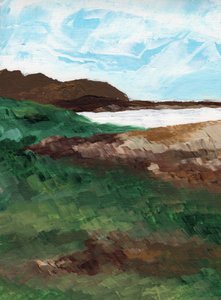 Grassy Ocean Vista