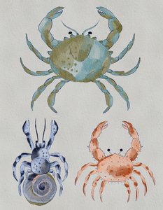 Ocean Crabs