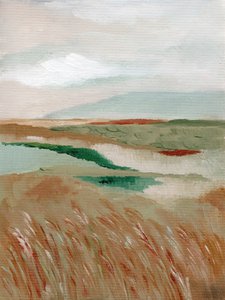 Peaceful Marshland View by Nikita Jariwala