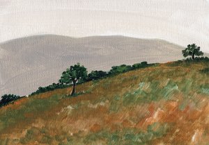 Rolling Hills Serenity