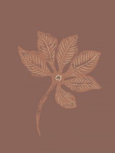 Textured Botanical Leaf by Nikita Jariwala