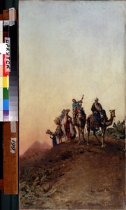 Camels Near The Pyramids