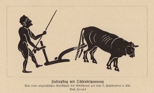 Ancient Greek ox-drawn plough by Nikosthenes