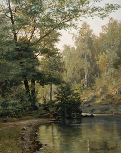 Forest Lake