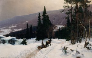 Winter by Nils Hansteen