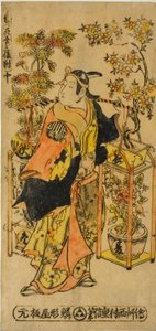 Peddler of Flowers of the Four Seasons - A Set of Three