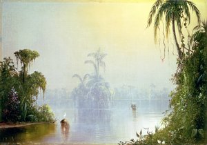 Tropical Haze