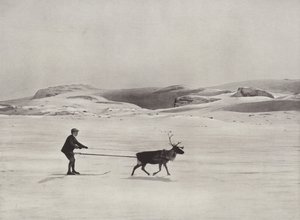 Ski-Driving with Reindeer on the Mountains by Norwegian Photographer