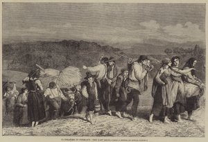 Haymaking in Germany, the Last Load by O.A. Sickert