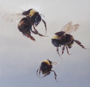 Bombus flight 1