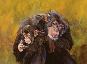 Chimpanzees