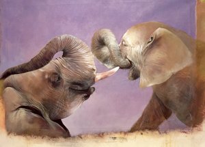 Elephants at Play
