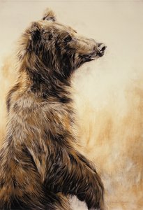 Grizzly Bear 2