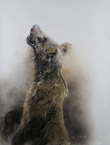 Grizzly Bear 3, 2009