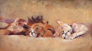 Siesta