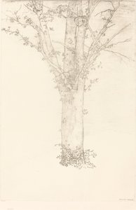 Tree by Odilon Redon