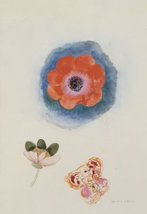 Study of Flowers