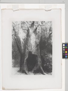 I Have Sunk Into Solitude by Odilon Redon