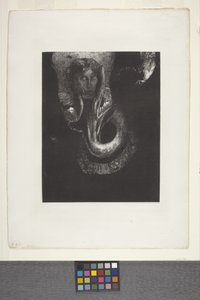 Oannès: "I, The First Consciousness Of Chaos..." by Odilon Redon