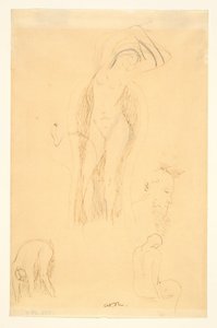 Sheet of Studies (Nude and Bearded Profile)