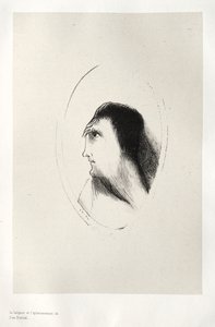 The Haunted House: The Width and Flatness of the Frontal Bone