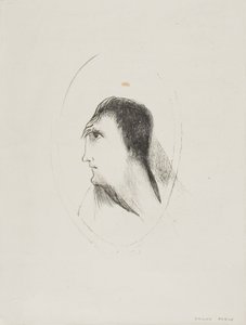 The Width and Flatness of the Frontal Bone, plate 6 of 6 by Odilon Redon