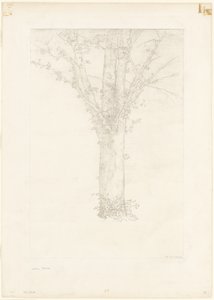 Tree by Odilon Redon
