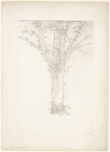 Tree by Odilon Redon