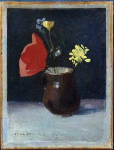 Unknown Image