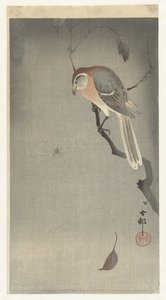 Buffalo-Headed Shrike and Spider by Ohara Koson
