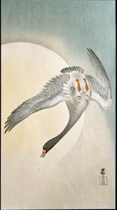 Flight of duck in moonlight by Ohara Koson