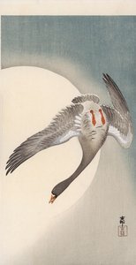 Flying white-fronted goose seen from underneath in front of the moon by Ohara Koson