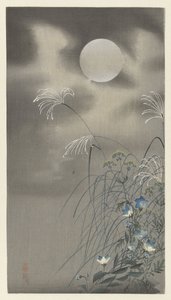 Grasses and Flowers by a Full Moon