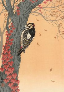 Great Spotted Woodpecker in Tree with Red Ivy, 20th century (japanese print)