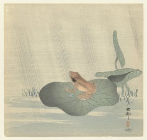 Frog on Lotus Leaf