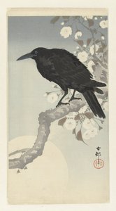 Crow by Full Moon