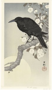 Crow by Full Moon