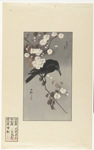 Crow and Cherry Blossom by Ohara Koson