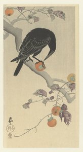 Crow with Persimmon