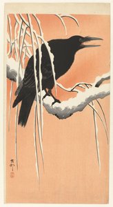 Crow on Snowy Branch