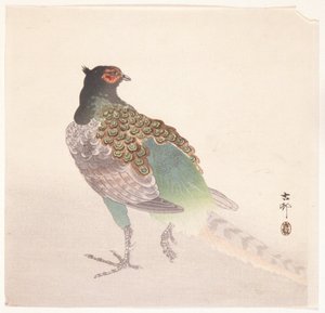 Pheasant by Ohara Koson