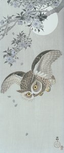 Scoop Owl in Flight with Blossom and Full Moon by Ohara Koson