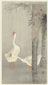Tame Geese in Rain by Ohara Koson