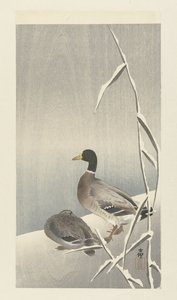 Two Ducks on Snowy Reed by Ohara Koson